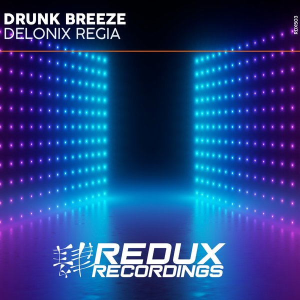 Drunk Breeze - Delonix Regia