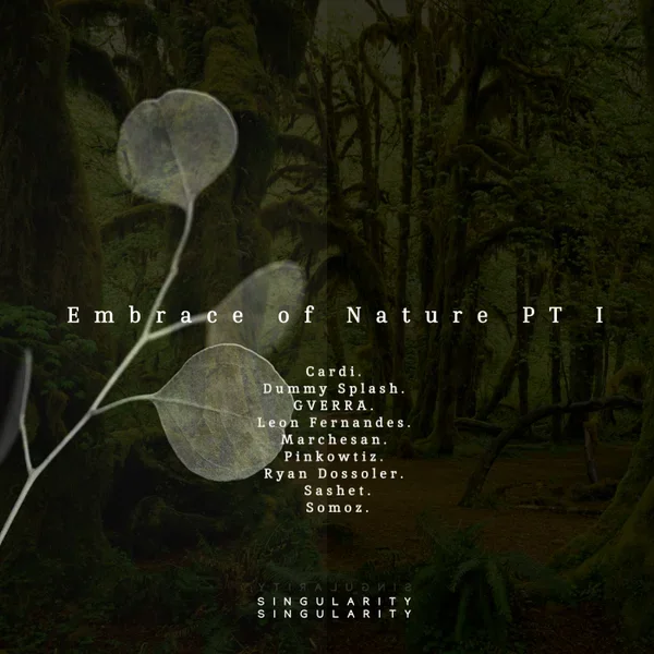 VA - Embrace of Nature PT I